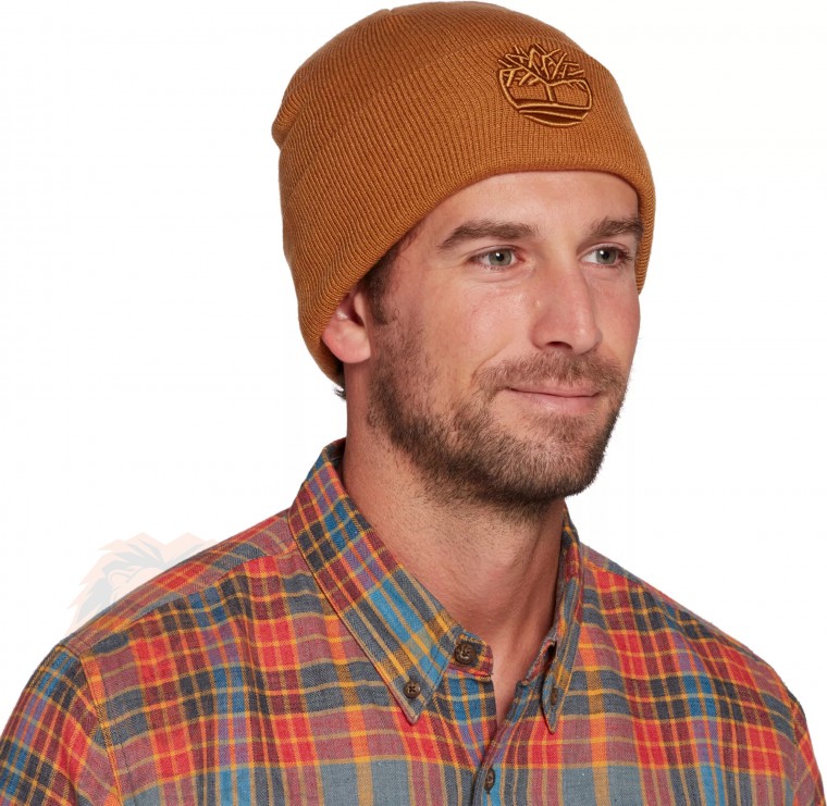 Шапка Timberland 3d logo hat TB0A1F3N 231